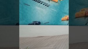 что у меня в коробке приколы