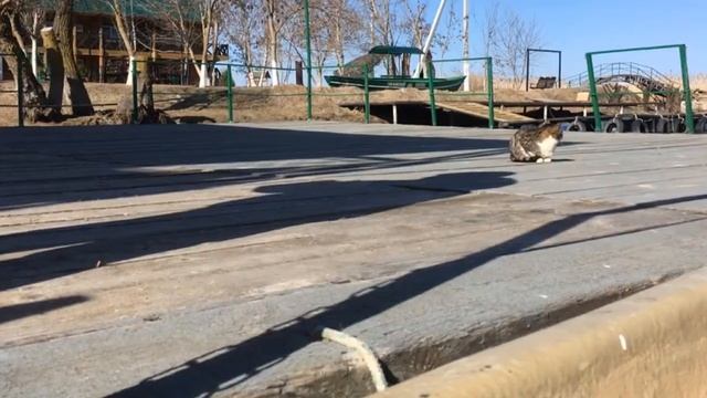 Весна 2018 Рыбалка на базе отдыха "Золотой Лотос" смотреть онлайн