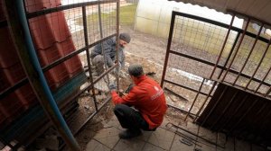 Изготовление вольера для собаки из металла