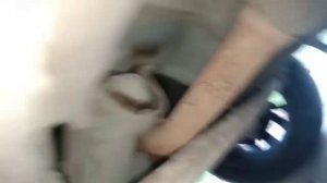 Хруст щелчки и стук при движении задним ходом причина найдена