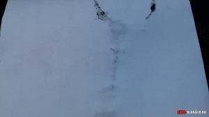 Белый дым из глушителя, метод определения неисправности