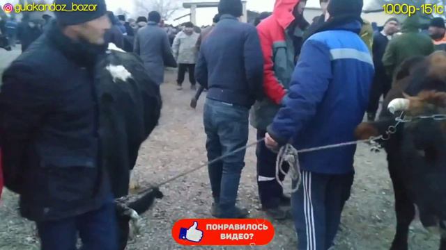 Куркат Жума Молбозори.31.12.2021.