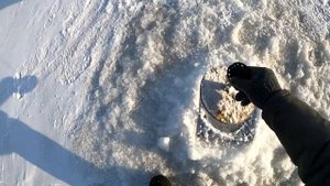 Зачетная зимняя рыбалка на Зейском водохранилище 2022