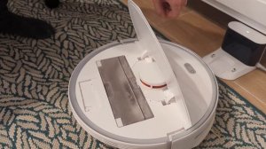 Roborock S5 Max Restoring to factory settings Failed to boot