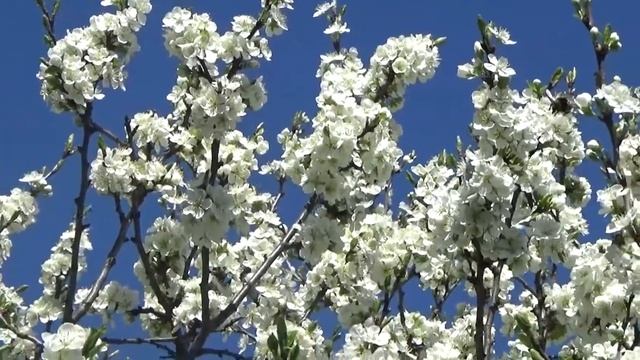 Евгений Мартынов  Я жду весну