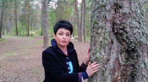 1.2. Практическое упражнение (Среда обитания)