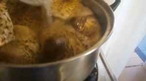 Жарим зонтики - грибы!