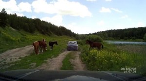 река Бердь, Новосибирская область