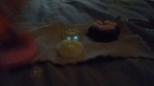 Уход за табо лапками (первое видео)