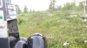 Комары и мошка Ямало Ненецкий Автономный округ