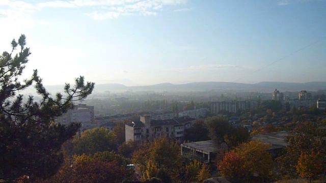 Крымские сосны, и вид на утренний Симферополь