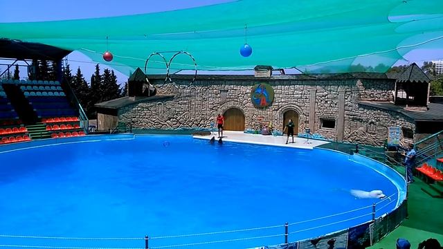 Дельфинарий Ривьера в Адлере. Обзор. Расписание. Цены. смотреть онлайн