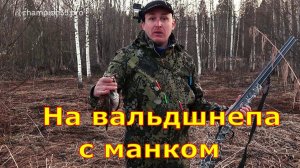 На вальдшнепа с манком #3 охота на вальдшнепа
