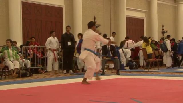 2011 USANKF US Open Men Elite Kata Unknown 7.mpg смотреть онлайн