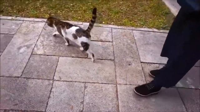 Турция / Бурса / Места захоронения правителей Османской империи смотреть онлайн