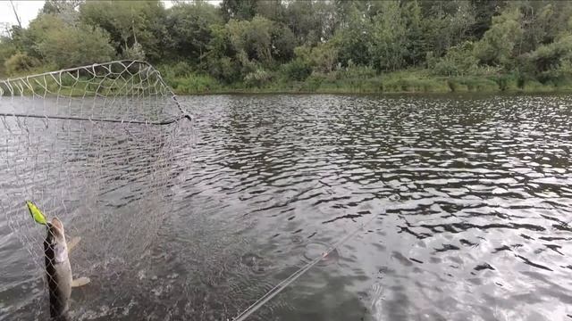 Ловля на спиннинг в городе смотреть онлайн