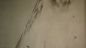 1972. Морчасти погранвойск