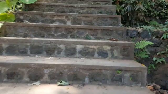 Водный храм Tirtagangga,мистика,святые источники,боги,Виктория амазонская,цены.Фен-шуй и свиньи. смотреть онлайн