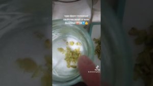 японская айва ? чудо фрукт лечит радиацию бесплодия выводит вредные вещества