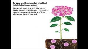 The Secret is in the Soil