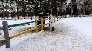 В отель Подмосковья на выходные. Яхонты Ногинск - не хлебом единым, но и о еде тоже.