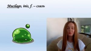 Как определить род существительных 3 склонения?