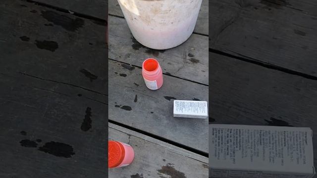 "Престиж". Препарат от жука колорадского. Обработка. 22.05.2023г. смотреть онлайн