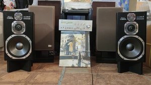 Акустика Coral DX-Three/ll (1986г.в.) состоянии новых