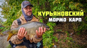 Мормышинг с НАВАХО NA45-612F-S | Лещи и жирный курьяновский карп