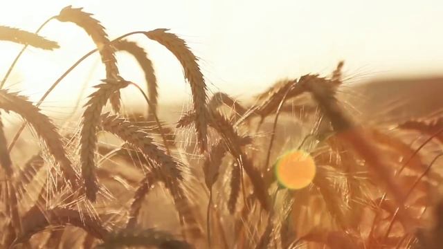 Цитаты, которые помогут быть сильными в трудные времена