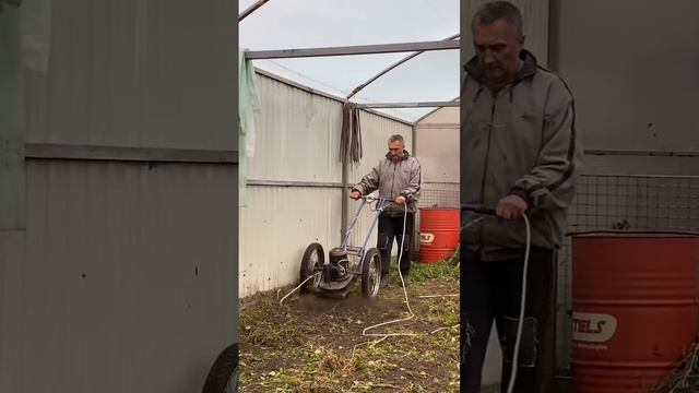 Предзимнее мульчирование в теплице