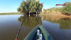 Рыбачим с вами. Владислав Бахристов.
