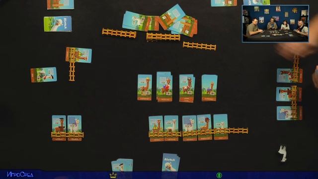 Играем в настольную игру Альпака