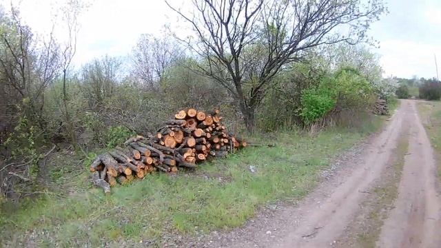 ВОРЫ ПИЛЯТ ФРУКТОВЫЕ ДЕРЕВЬЯ НА ВИНОГРАДНИКАХ НА ДРОВА смотреть онлайн