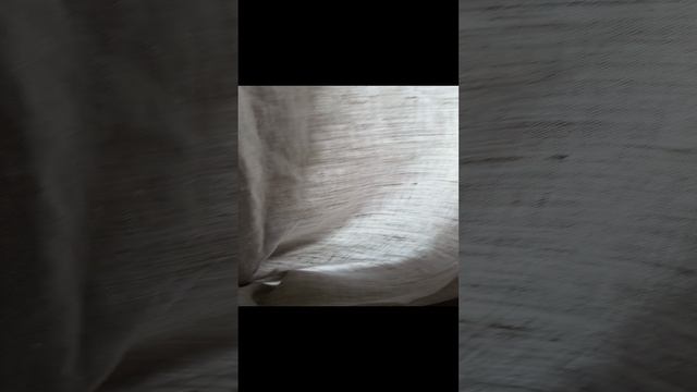 VID_20230706_091859.mp4