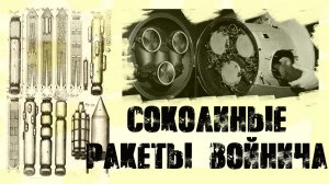Невероятно! ПВО с соколиным наведением в манускрипте Войнича. Баня Велеса снимает мировой гипноз!