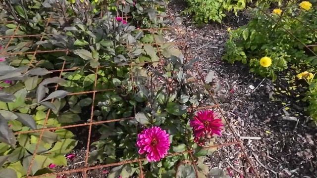 DAHLIA JENNIFER MARY ELLEN IN PARK VORDENSTEIN 2022 смотреть онлайн