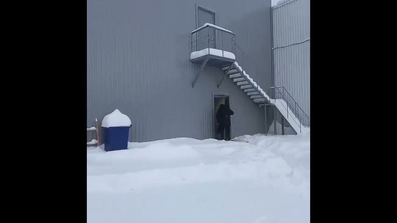 Московская область, городской округ Балашиха, деревня Чёрное, улица Агрогородок, 63