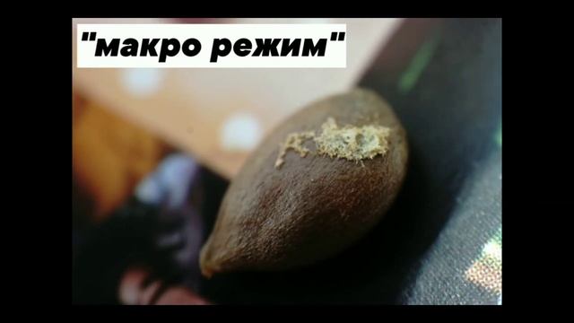 Как фоткать макро когда нету макро-объектива смотреть онлайн