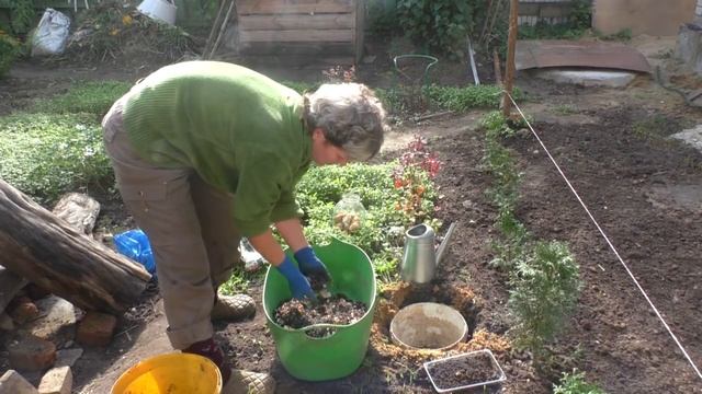 Детка ценных лилий Сажаю со страховкой смотреть онлайн