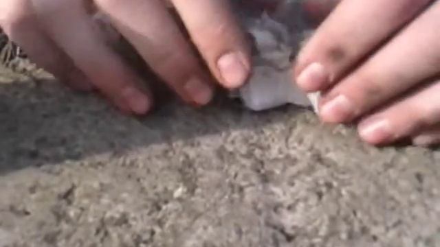 3 способа разведения огня от израсходованной кремневой зажигалки!