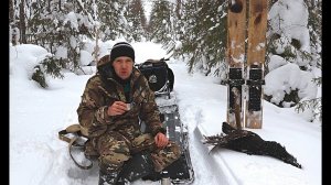 Закрываю капканы на куницу. Добрал раненного глухаря.