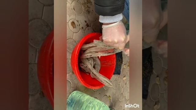 Что сделать если нашли в доме колдовство смотреть онлайн