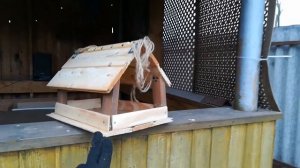 Кормушка для птиц из дерева своими руками. Чем кормить птиц зимой в кормушке.