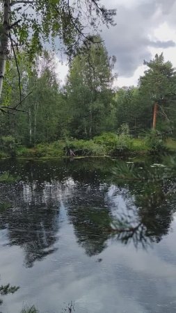 Памяти река глубока