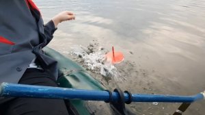 Рыбалка на кружки🎣