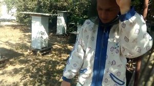 Очень простой способ переселения пчел в малоформатные ульи.