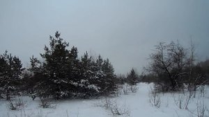 Пятница. Что можно и что нельзя делать. Народные приметы. Приметы пятницы. Дни недели