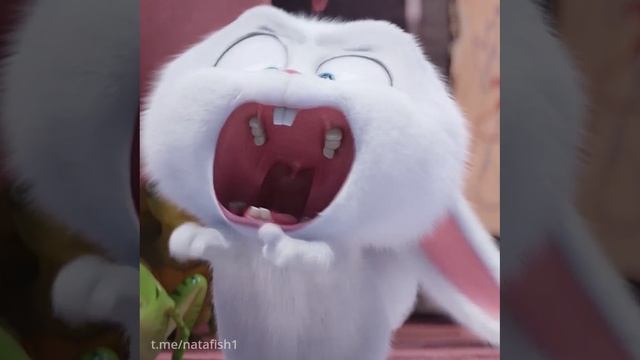 54.mp4 смотреть онлайн