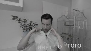 Как выбрать говорящего попугая - 3 простых правила.